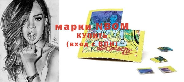 шишки Богородицк