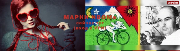 мдпв Богородск