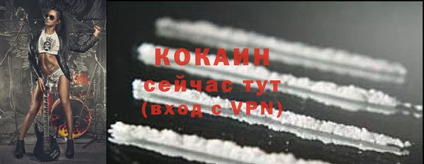 шишки Богородицк