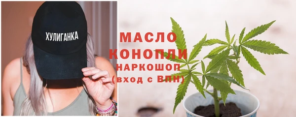 мдпв Богородск
