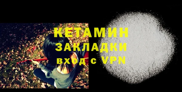шишки Богородицк