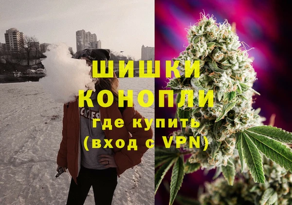 мдпв Богородск