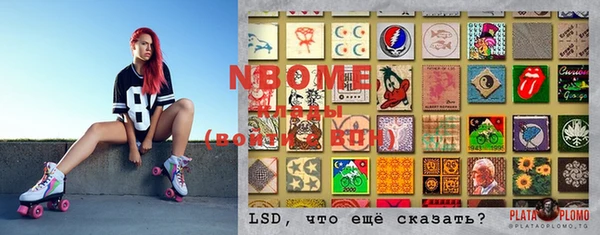 шишки Богородицк