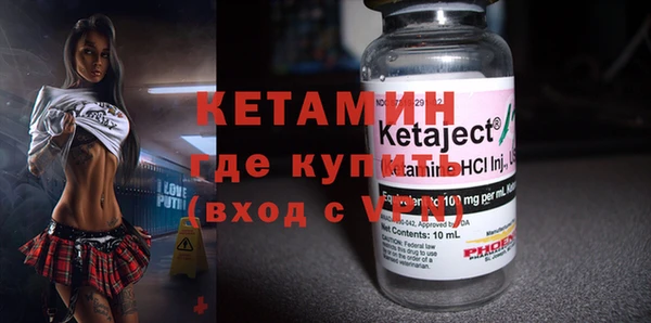шишки Богородицк