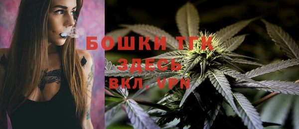прущая мука Богданович