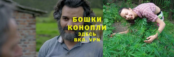 мдпв Богородск
